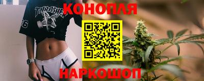винт Будённовск