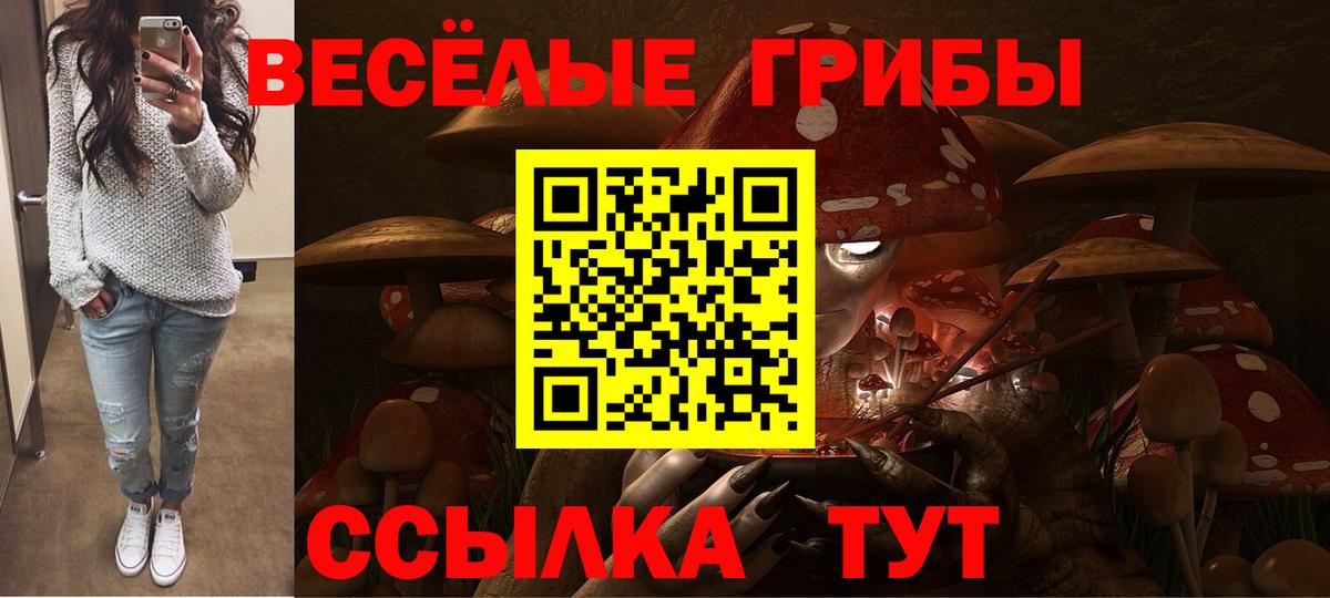 Псилоцибиновые грибы мицелий Мытищи